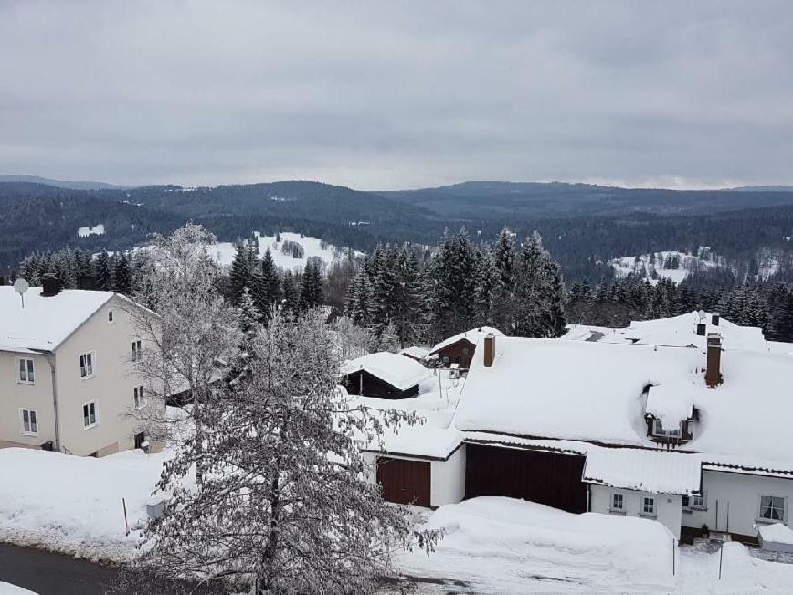 Apartment Almberg Mitterfirmiansreut Exteriör bild