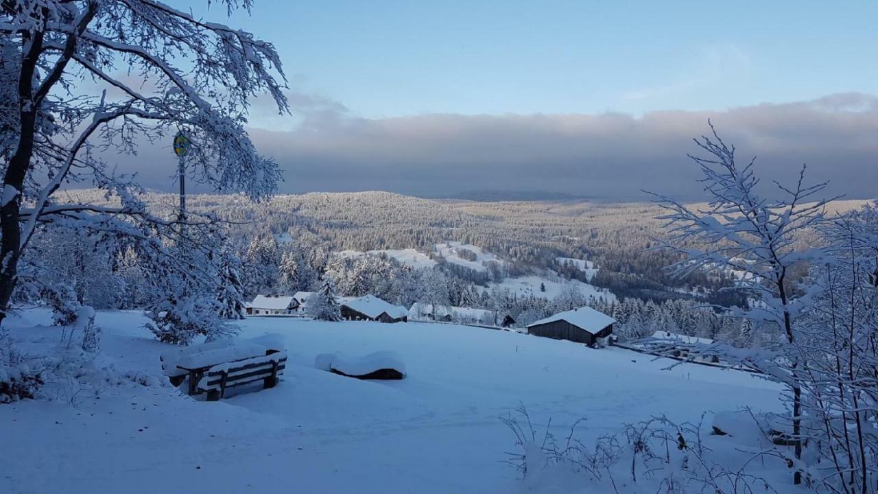 Apartment Almberg Mitterfirmiansreut Exteriör bild